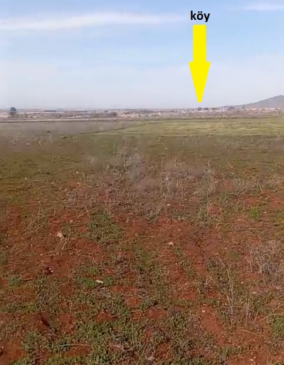 DENİZLİ, BEKİLLİ, DEŞDEMİR’DE 1.168 m² ARAZİ