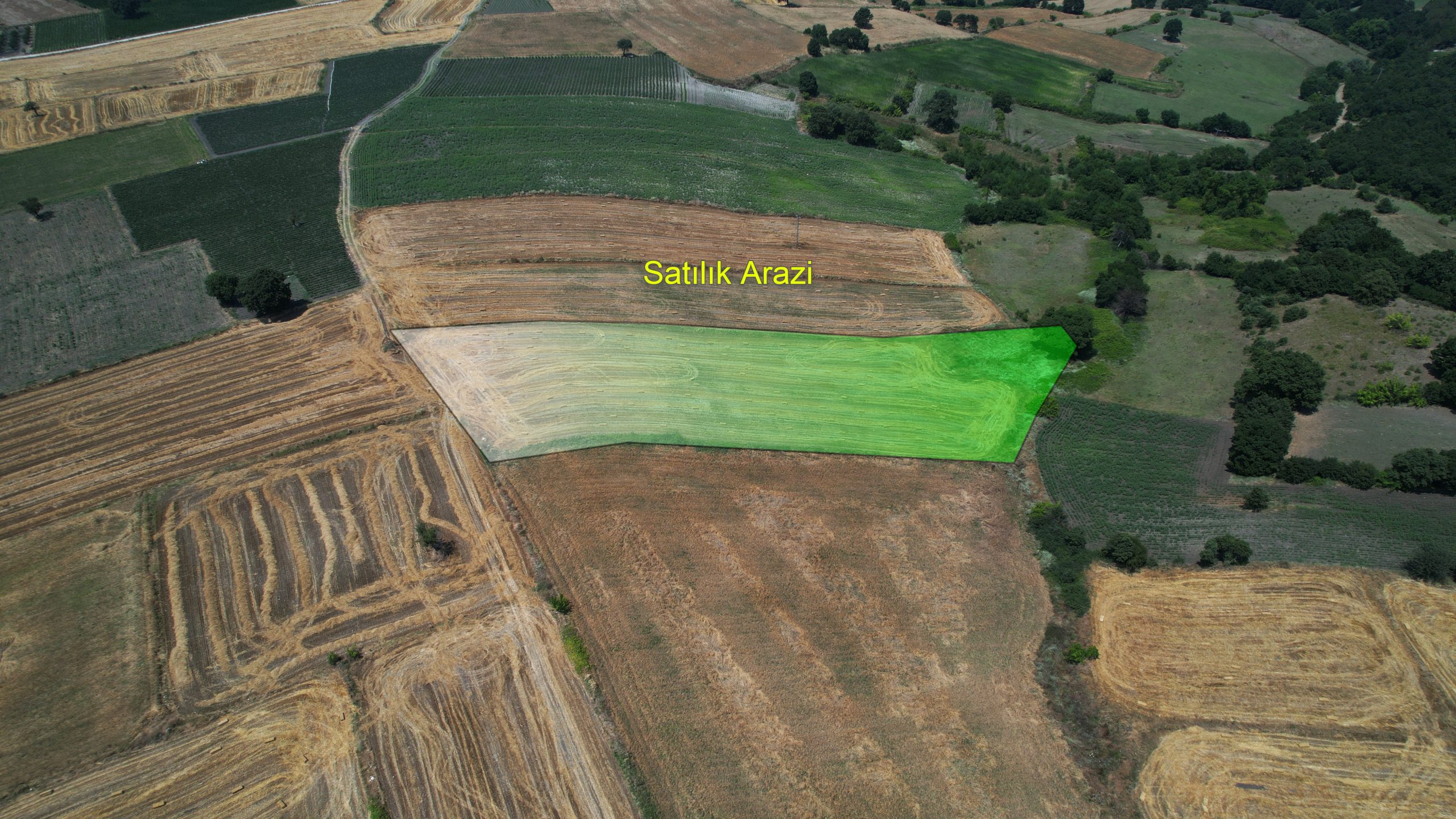 ÇANAKKALE, BİGA, KORUOBA’DA 6.796 m² ARAZİ