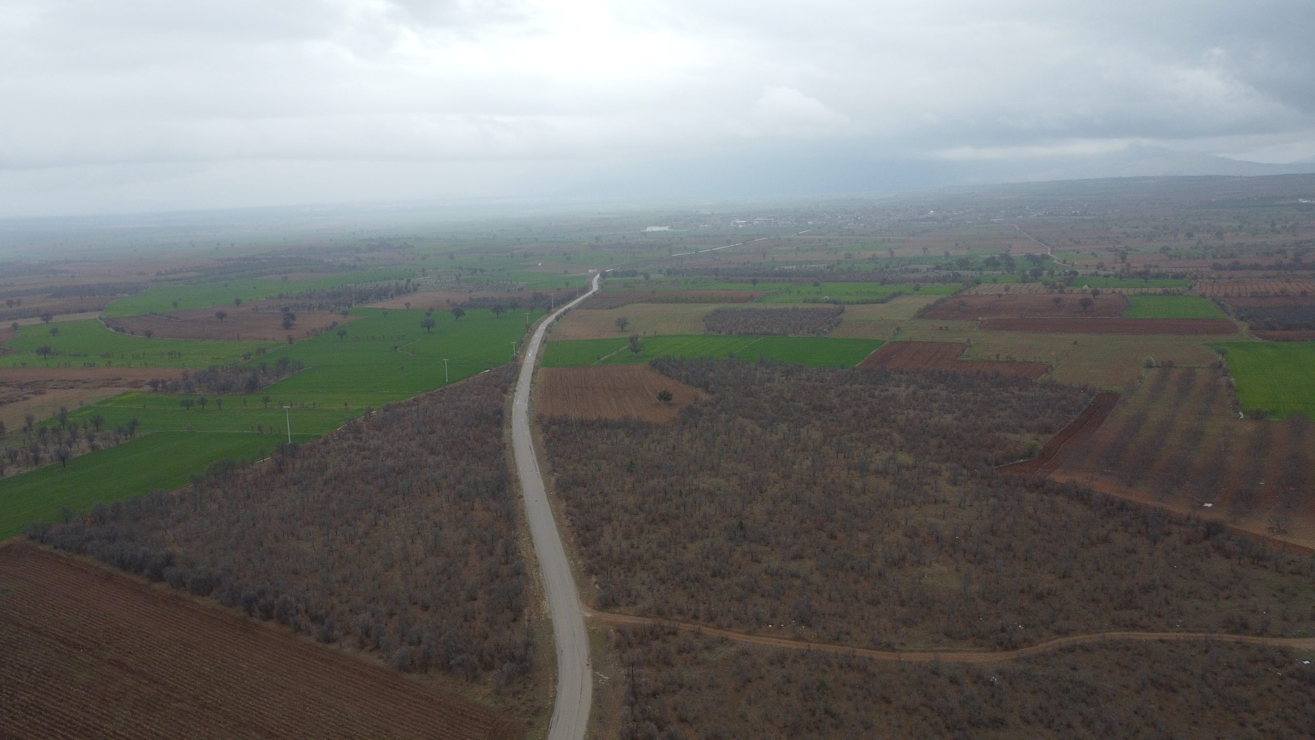 DENİZLİ, ÇİVRİL, KARABEDİRLER’DE 2.400 m² ARAZİ