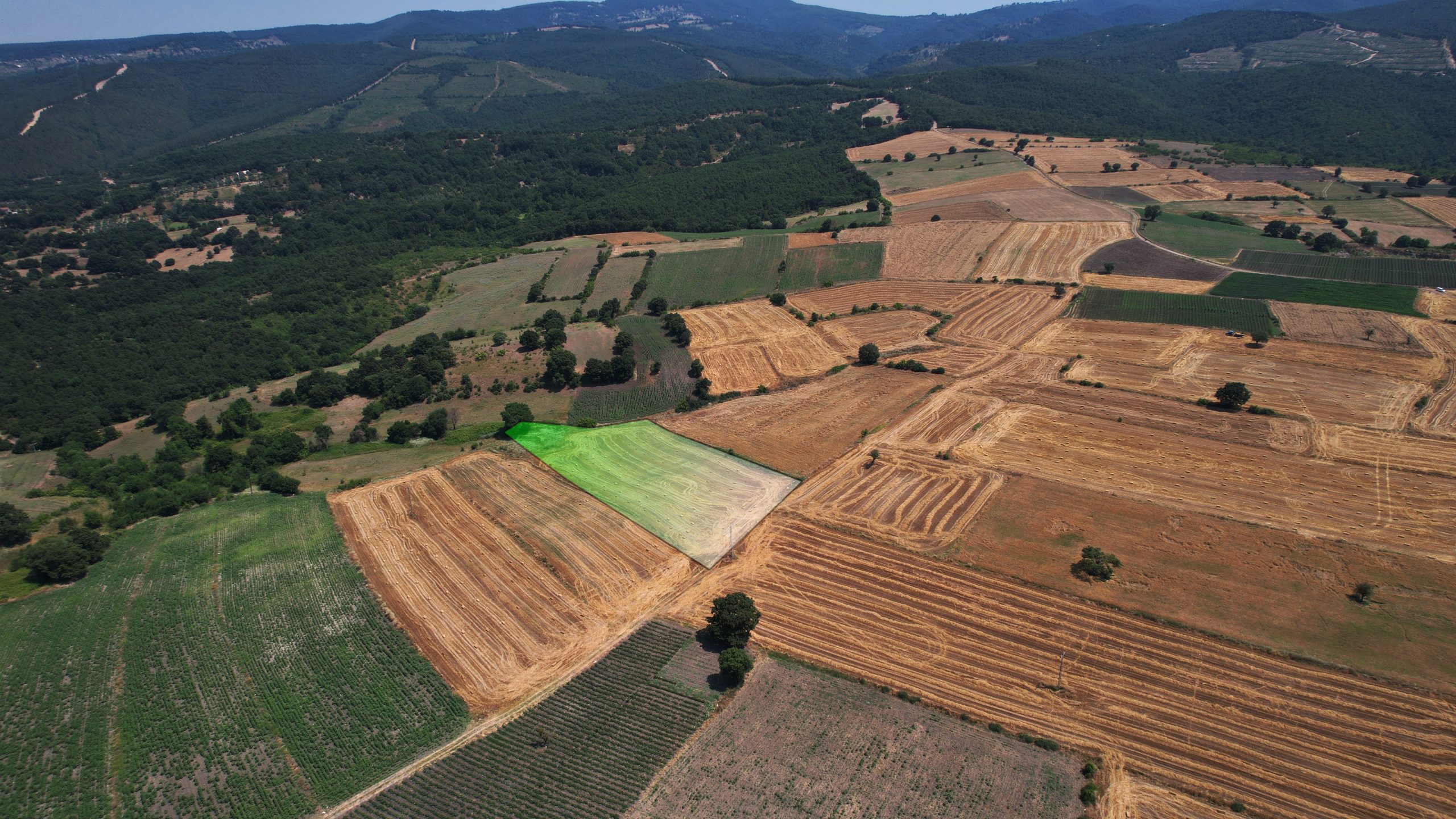 ÇANAKKALE, BİGA, KORUOBA’DA 6.796 m² ARAZİ