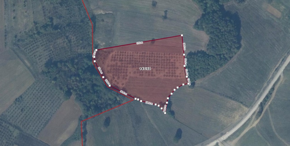 KOCAELİ, İZMİT, BAĞLICA’DA 17.385 m² FINDIKLIK