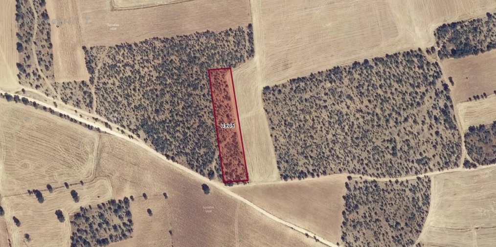 DENİZLİ, ÇİVRİL, KARABEDİRLER’DE 3.900 m² ARAZİ