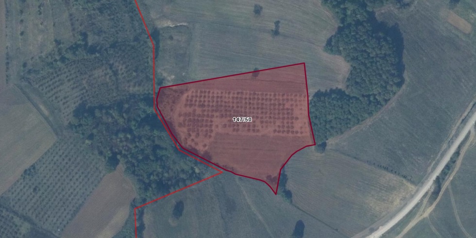 KOCAELİ, İZMİT, BAĞLICA’DA 17.385 m² FINDIKLIK