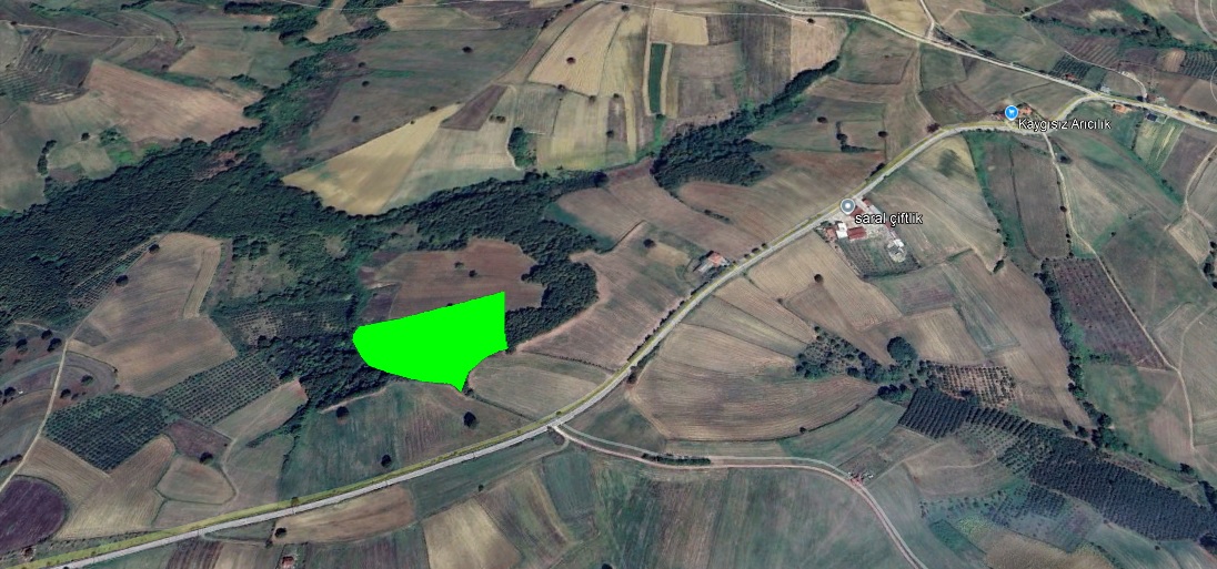 KOCAELİ, İZMİT, BAĞLICA’DA 17.385 m² FINDIKLIK