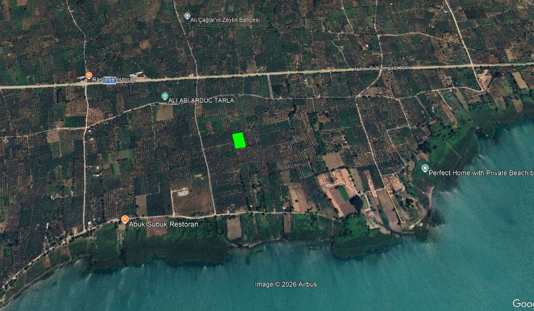 BURSA, ORHANGAZİ, ÇAKIRLI’DA 3.132 m² ZEYTİNLİK