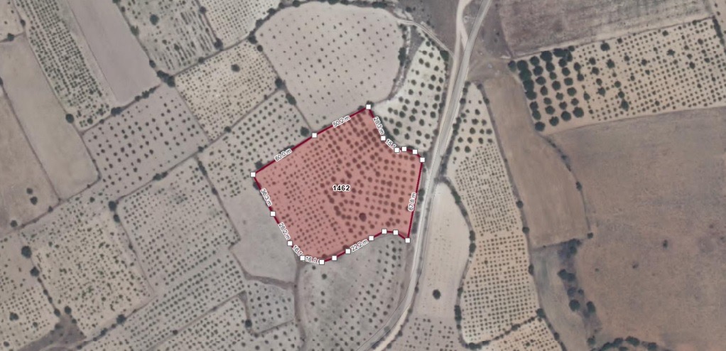 DENİZLİ, ÇİVRİL’DE 10.900 m² BAĞ