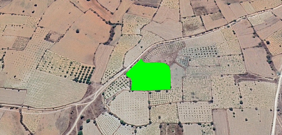 DENİZLİ, ÇİVRİL’DE 10.900 m² BAĞ